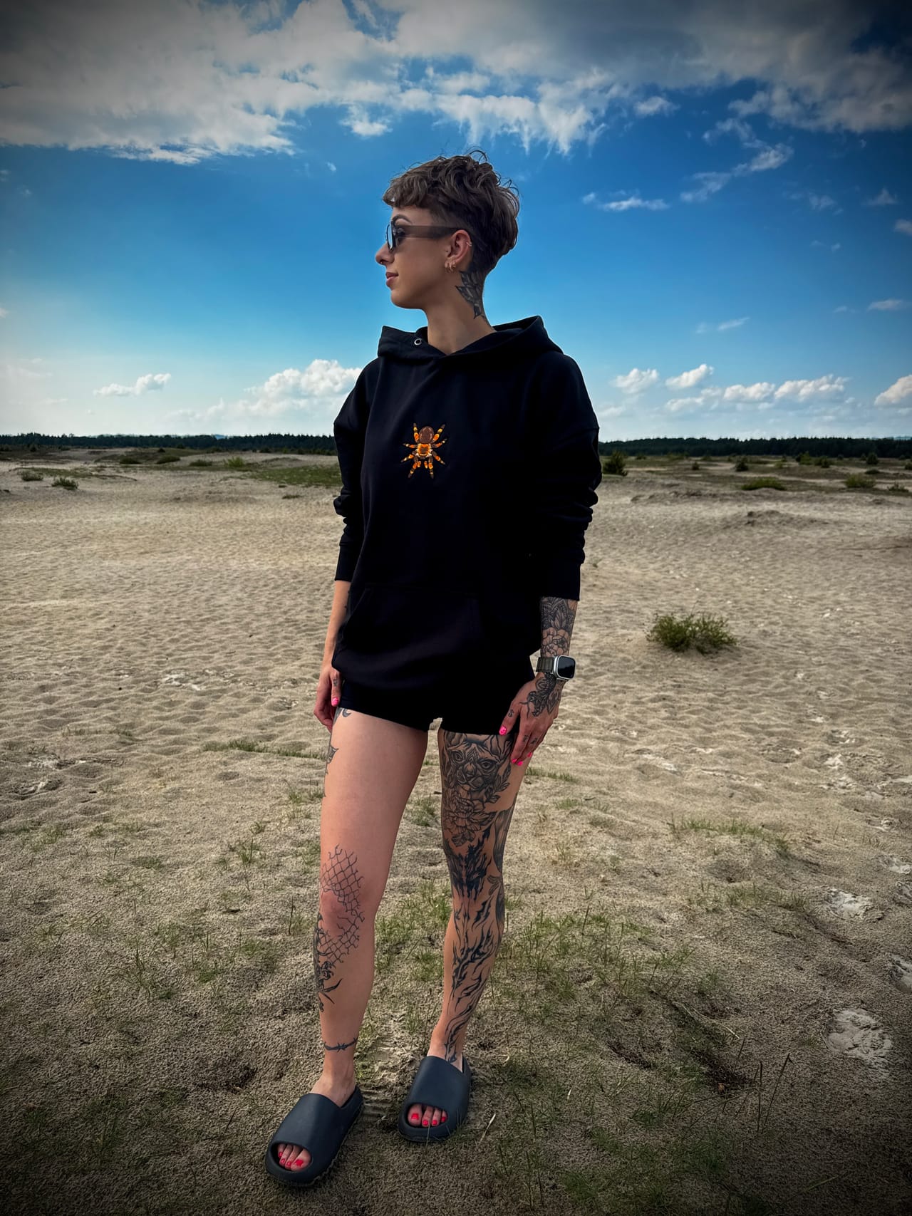 Zdjęcie 11: pajak2